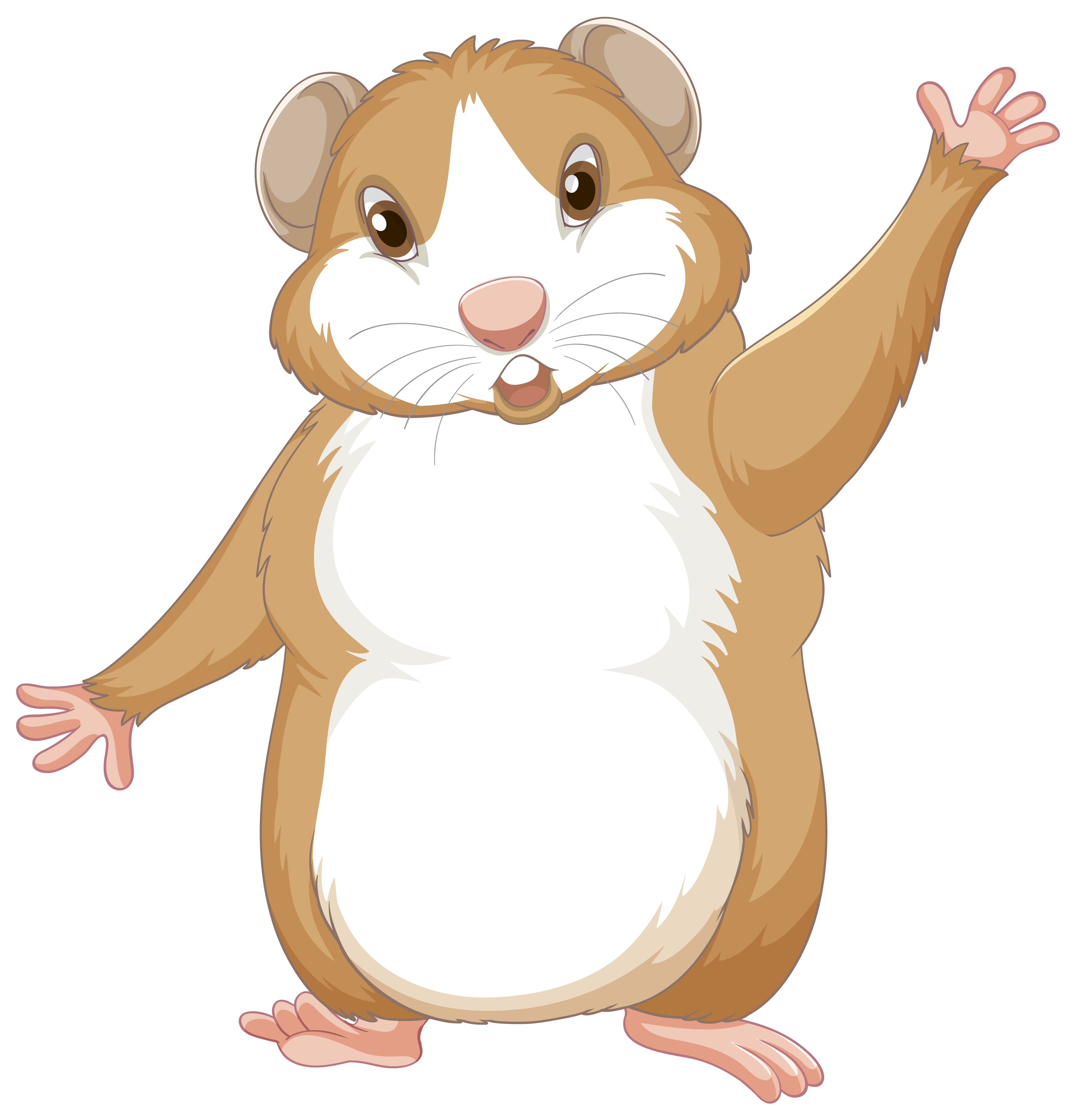 Hamsters