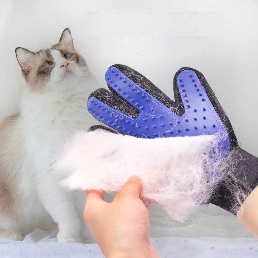 Grooming Glove