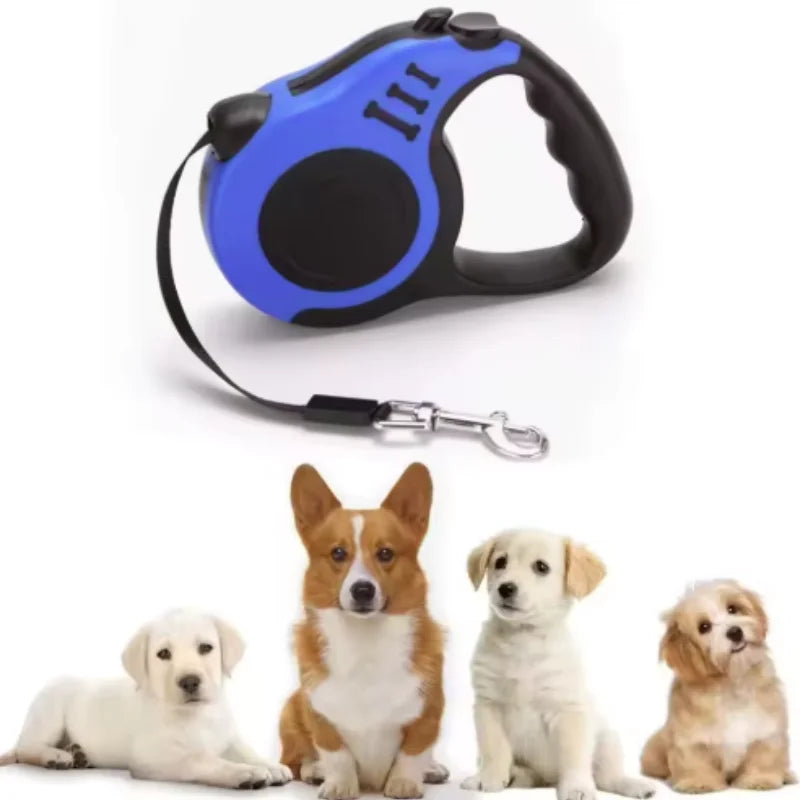 Smart Walk