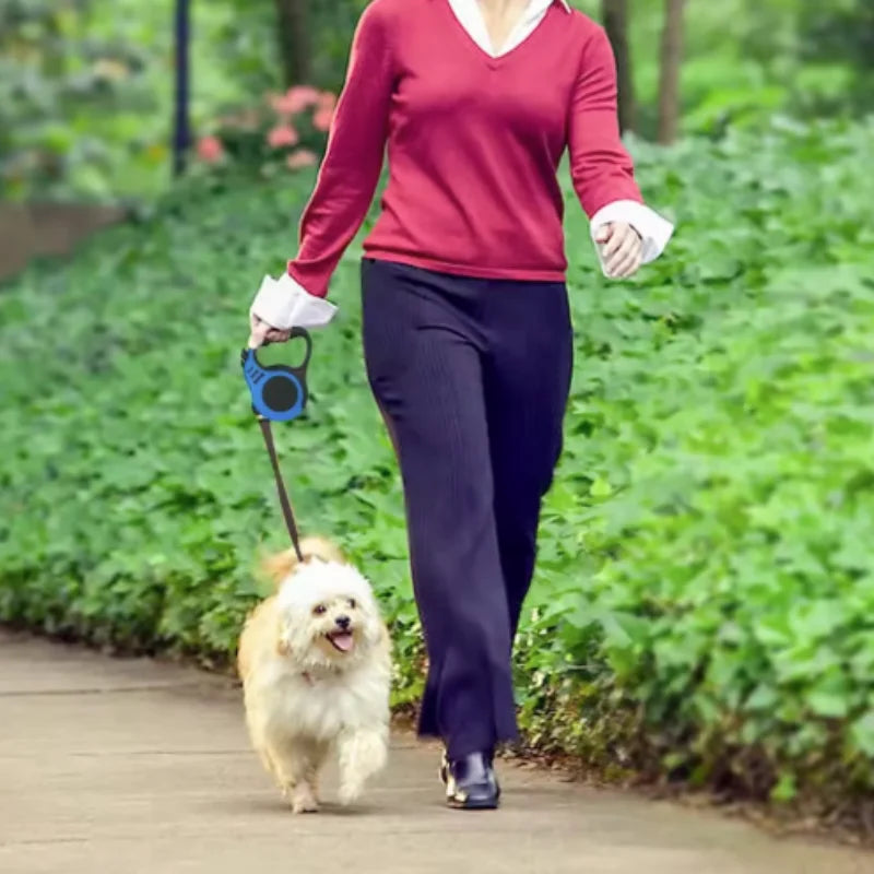 Smart Walk