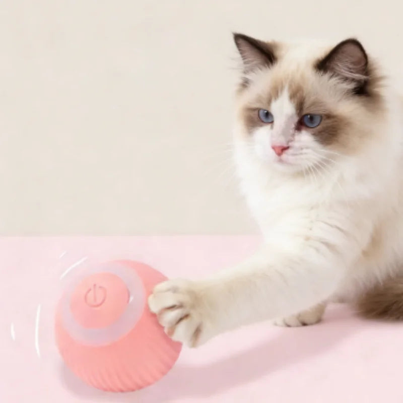 Smart Rolling Cat Ball