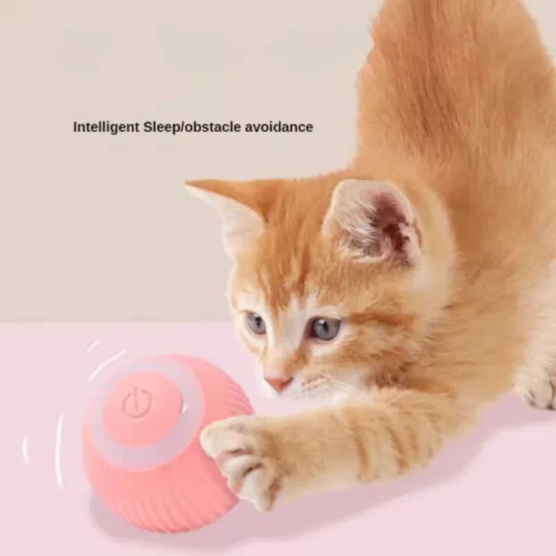 Smart Rolling Cat Ball
