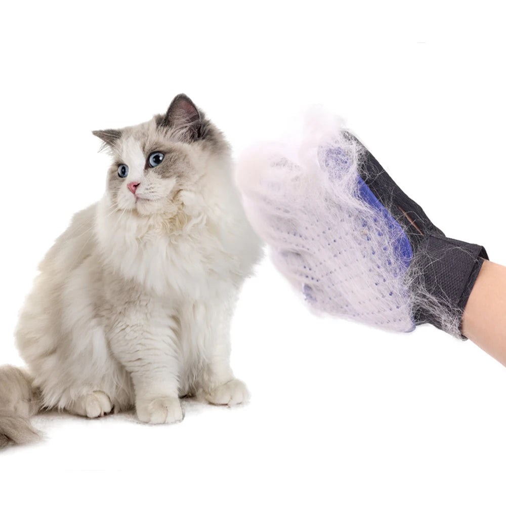 Grooming Glove